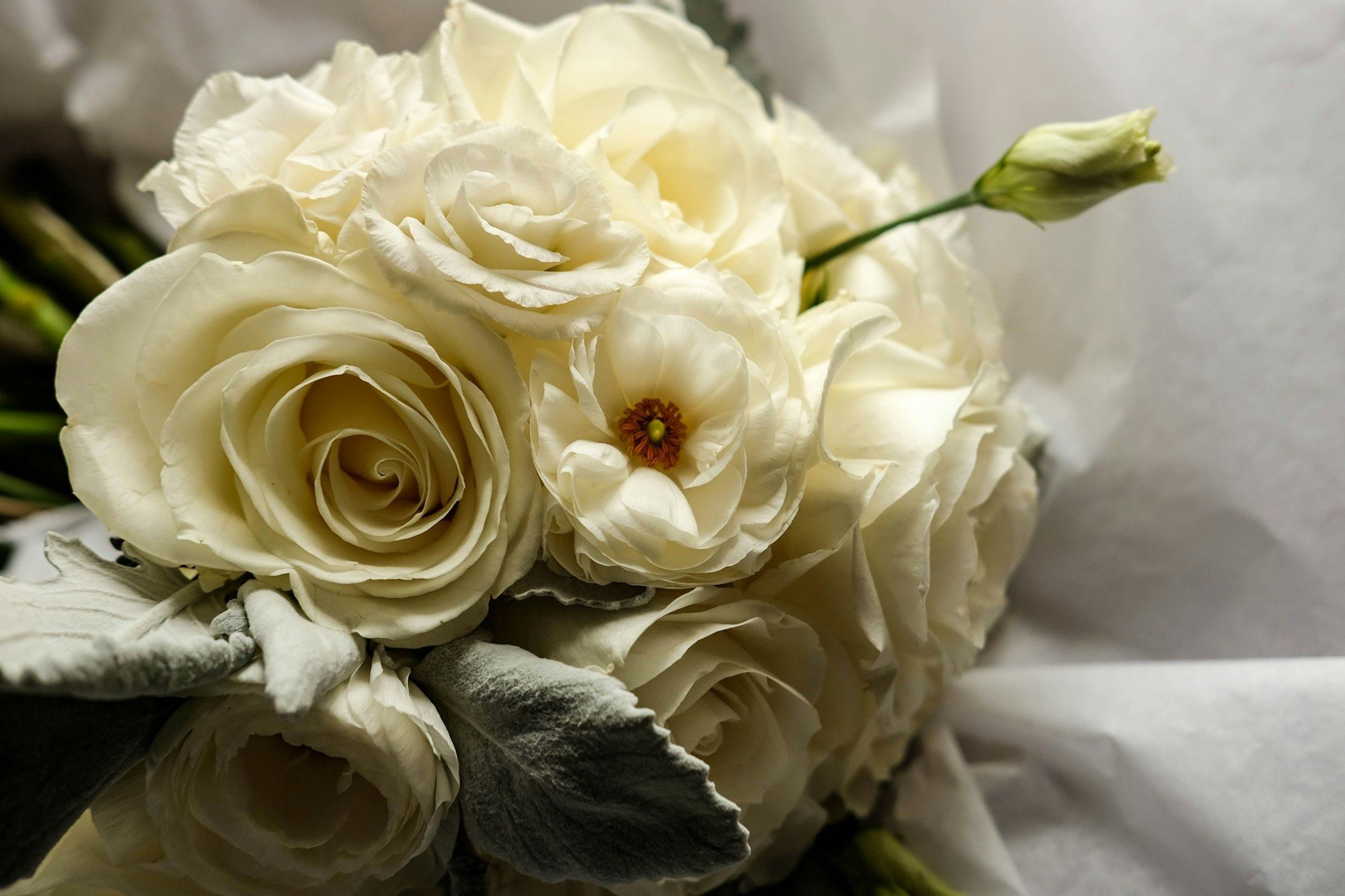 A bouquet of ivory roses